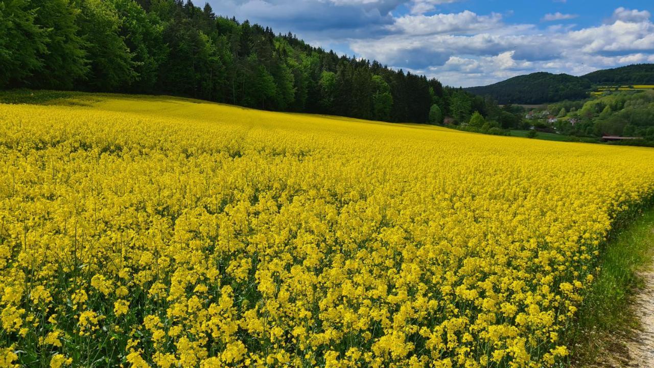 Senses Hirschbach (Bavaria)